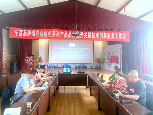 寧夏品牌研究會(huì)枸杞系列產(chǎn)品品質(zhì)提升關(guān)鍵技術(shù)創(chuàng)新服務(wù)工作站掛牌成立