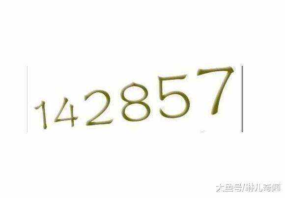 7777788888一肖一碼,探索神秘數(shù)字組合，77777與88888一肖一碼的魅力與奧秘