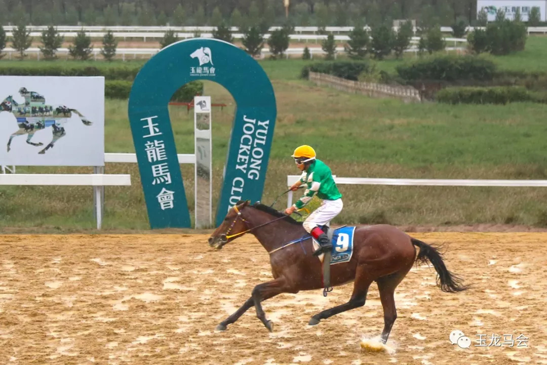 2025今晚香港開(kāi)特馬,今晚香港開(kāi)特馬，探索賽馬運(yùn)動(dòng)的魅力與未來(lái)展望