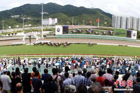 香港最準馬會資料免費,香港最準馬會資料免費，揭秘賽馬世界的秘密