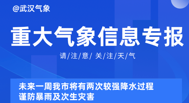 2025新奧資料免費精準051,探索未來，2025新奧資料的免費精準共享之路