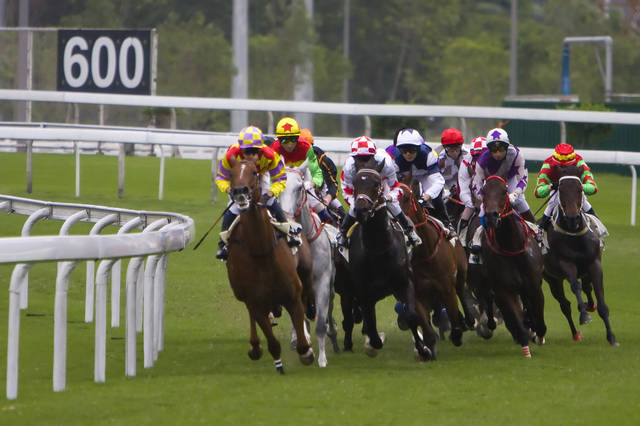 2025今晚香港開特馬,關于香港賽馬會特馬賽事的探討