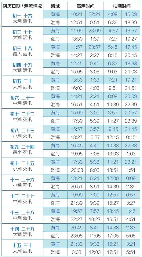 天天開獎澳門天天開獎歷史記錄,澳門天天開獎的歷史記錄，探索與解析