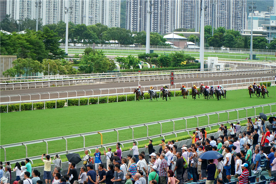 香港馬買馬網站www,香港馬買馬網站www——探索賽馬文化的獨特魅力