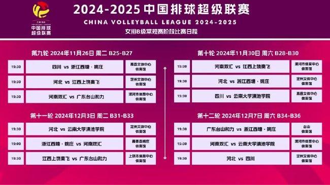 新澳資料大全正版2025,新澳資料大全正版2025，探索與前瞻