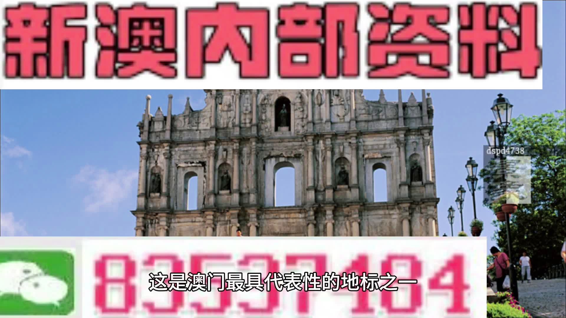 新澳2025年精準(zhǔn)特馬資料,新澳2025年精準(zhǔn)特馬資料解析