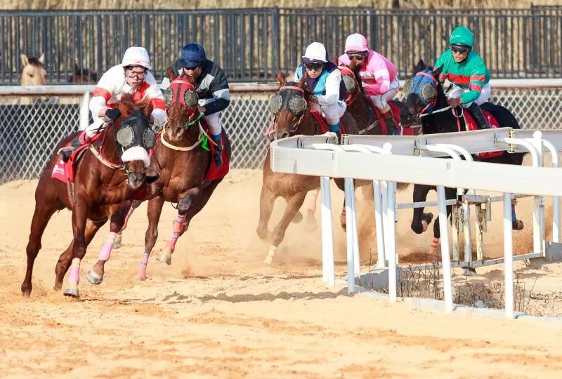 今晚澳門馬出什么特馬,今晚澳門馬出什么特馬，探索賽馬世界的神秘面紗